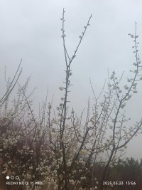 放下不代表软弱，而是爱的等级比较高--“放不下”的背后有害怕，当一个人觉得“非什么不可”的时候，人生就会痛苦，看不到更多的可能性。配图