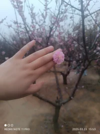 生活沒有樣板，當(dāng)下就是最美的存在
熱愛生活，也會被生活所愛配圖