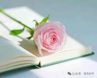 做一個溫暖的人，

感知這世界所有的美好，

一邊向著陽光，一邊綻放芬芳，

無論生活怎樣，都不要忘記微笑，

愿你成為自己的太陽，無需憑借誰的光。

因為好運，定會與你不期而遇!配圖
