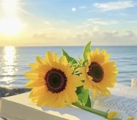 生活總充滿變數，很多時候，我們越是想要掌控，越會被生活的風浪拍打得遍體鱗傷。與其在掙扎中耗盡心力，不如順應自然的節奏，不去刻意強求，不被外界的喧囂所擾，從容接納生活給予的一切。這種隨緣，不是消極的不作為，而是認清生活本質后的通透選擇，在平凡的日常中，也能活出屬于自己的詩意與自在。配圖