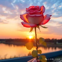 经历人生苦难，也是一种成长。阳光总在风雨后，小草也要经历风吹日晒雨淋才能长大，人也是如此。自己已经差不多熬过来了，明天就会变得越来越好，自己给自己信心，自己给自己力量，困难总会过去的，黑暗的天气总会过去的，沐浴金色的阳光。
每个阶段都有不一样的困难，自己需要去克服，给自己加油打气，允许做不一样的自己，不要在意别人的眼光，不能活在别人的眼中，困难是暂时的，自己也要经历这些才能成长，不要做温室的花朵，要在大地阳光照耀下成长的花朵。