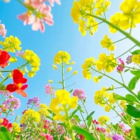 兒時(shí)吃糖果，是甜蜜，是滿足；

青年時(shí)吃糖果，是回憶，是思念；

老年時(shí)吃糖果，是久違的幸福與溫暖。

生活中，我們品嘗的不僅是糖果，更是歲月；

回味的不只是甜味，還有人生。