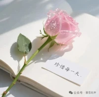 當你真的帶著積極的心態去生活，會慢慢發現好運變多了，曾經覺得難解的結，不知不覺就松開了。配圖