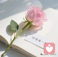 04

生命中最深刻的蛻變往往發(fā)生在傷痛與渴望的交界處。那些未能將你擊垮的疼痛，終將化作支撐你站立的筋骨；那些始終不肯熄滅的夢(mèng)想終會(huì)成為滋養(yǎng)新生的血液。配圖