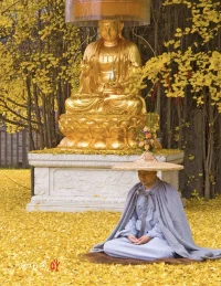 莫言老師曾經說過：“一杯水，你渴的時候，它貴如黃金；你不渴的時候，它寡然無味。一束陽光，你冷的時候，它溫暖無比；你熱的時候，它卻燥熱可惡?！边@世間的萬事萬物，哪有什么絕對的好壞，是非對錯，只在一念之間。一念起風聲鶴唳，煩惱叢生。一念落繁花似錦，心境豁然。