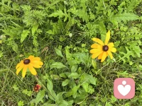 三种最幸运的相遇
1、遇到了靠得住的朋友。当你心情不好或遇到烦心事的时候，可以找TA好倾述和分担。TA靠得住，也守的住。

2、遇到了可以相伴一生，无论何时、无论贫贱富贵都不会离去和背叛的爱人。遇到了一个彼此相爱，还可以在一起的人，很美好，难能可贵。

3、遇到了自己的伯乐或者贵人。

人生中最幸运的三种相遇，他们都有不可替代性和很高的重要性。大部分的人要么一个也没有遇到，要么遇到了一两个，遇到了三个的少之又少。而遇到了一个就已经是人生中的大喜事了。因此遇到了就要倍加珍惜。而遇到他们是需要缘分和实力的，努力有更高遇到的可能性。