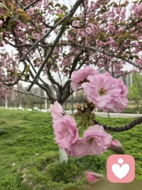 生活再苦，也别丢了温柔
心里装着温柔，眼里才有星光。
温柔待人，也温柔待己。