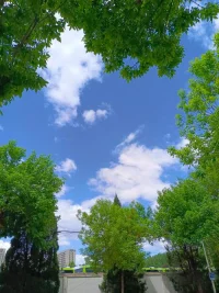 曾经的困难，犹如晴天霹雳一样，当你坚持来的时候，你会看到晴空万里。