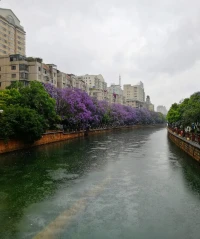第一次觉得下雨让人郁闷，但雨并没有多大变化，是自己的心境不一样了