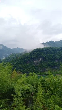 把身体养好了，这叫体质；​把心态调好了，这叫格局；把日子过好了，那叫本事。不要为了不值得的人和事，让自己不开心。万事不计较，万病自然会好。”
​保护自已最佳的方式，就是不要高估自己在他人心中的位置，能伤害你的，从来都不是别人的问题，而是你心存幻想的期待，及时止损，专注自己的路，优化自己的能量场，放下那些让你内耗的人和事 治愈好自己的方式 ，就是忙碌 ，保持情绪稳定的秘诀 ，就是永远不要期待，永远不要假设，永远不要强求 。
​把自己照顾好，把当下的事做好，把重要的人待好，好好生活，你要的一切都在路上，人生只来一次，何必在意那些与自己无关紧要的人或事，每个出现在你生命中人都是注定你要度的劫，无论好与坏，坦然面对就好。
​站在属于自己的高度，看自己该看的风景，别让任何人消耗你内心的热情，生活应该被你热爱的人和事填满，慢慢更新自己，带上微笑，面对人生的不期而遇。
​不要站在雾里，不要执着没有意义的人和事，不要像风，也不要像云，做你自己就好。其实折磨你的，从来不是任何人的情绪，而是你心存幻想的期待。世间万物都在治愈你，唯独你不肯放过自己。