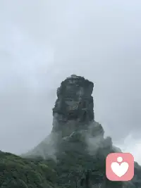人靜、物簡、心安！配圖