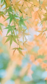 与过去和解的勇气:
沉没成本效应的本质，是人类对“自我连续性”的执着。如哲学家 Søren Kierkegaard 所言：“生命只能被倒着理解，但必须向前活着。”突破这种认知陷阱，需要意识到——真正的智慧不在于坚持，而在于区分“坚持”与“固执”的界限。  
正如行为经济学家 Dan Ariely 的忠告：“不要为打翻的牛奶哭泣，除非你想用眼泪填满整个海洋。”配图