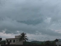 雨过天晴，又是美好的一天了配图
