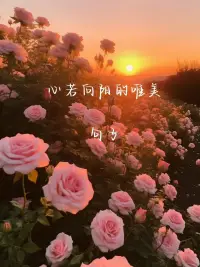 心若向阳，无畏悲伤😄，一路向前，繁花似锦🌸。配图