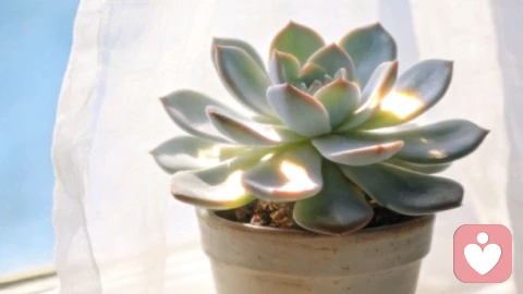 席均倾听:用我走过的路,接住你的迷茫