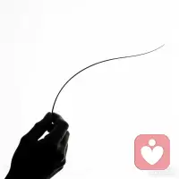 执之不得，放之自至。