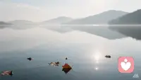 向内觉察，重在看见，而非深究。当看见足够多，改变会自然发生。配图