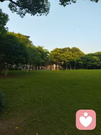 平静配图