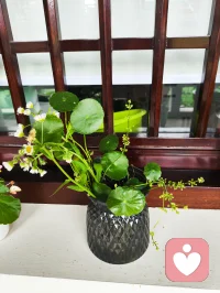 有话想说，但知道不该，就试着忍一分钟。配图