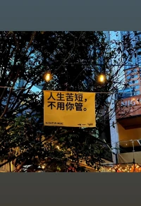 我们总在追逐完整的圆，却忘了月缺才是常态。那些裂缝里漏进来的光，往往能照见最动人的风景。就像枯叶蝶的残缺翅膀，正是它躲避天敌的生存智慧。配图