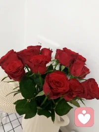 温柔的代价，是更容易痛。但温柔的回报，是真正活过。 你不必变硬，只需要学会在柔软外，慢慢长出一层不伤人的、薄薄的保护膜。那不是铠甲，是摇篮。