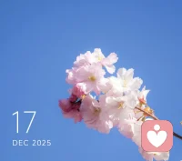 明天會變成什么？?
會變成一束鮮花，一顆流星，一個愿望；
會變成一個誓言，一句祝福。
明天會變成你余下生命的第一天。配圖