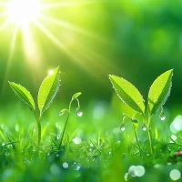 ✨世间万物之韵，不在于其外在的模样，而在于我们内心是否给予其珍视的目光。珍视，则万物皆美；漠视，则繁华亦成荒芜。配图