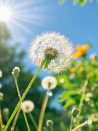 情绪没有对错，允许自己脆弱，是爱自己的开始。🌻配图