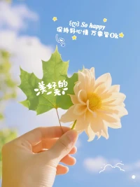 记得给心情充充电，美好会眷顾积极生活的你。新日轻启，愿日子不慌不忙，生活不繁不简，心怀温柔，步履安然