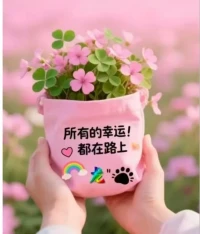最美的风景，不在终点，而在路上;最美的人，不在外表，而在内心[爱心]
以诚相待，让所有的遇见，都成为一种美好！[玫瑰]