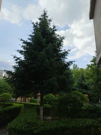堅持不懈，直到成功。我要嘗試，嘗試，在嘗試，障礙是我成功路上的彎路，我迎接這項挑戰。我要像水手一樣，乘風破浪。配圖