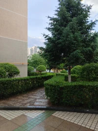 堅持不懈，直到成功。我要嘗試，嘗試，在嘗試，障礙是我成功路上的彎路，我迎接這項挑戰。我要像水手一樣，乘風破浪。配圖