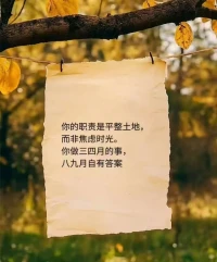每天醒來都會遇到形形色色的事情，這些事情的本質是不變的，而唯一變的就是我們看待這個事情的角度所產生的“情緒”，我們人是被“情緒體”所控制，同時人們也能控制住“情緒體”，兩者是共存的。
?只有我們帶著覺知的態度，知道自己已經被負向情緒體所控制，就能找出正向的邏輯思維，這時所經歷的才能稱之為“成長”，也就是這句話“凡事發生畢有助于我”[拳頭]配圖