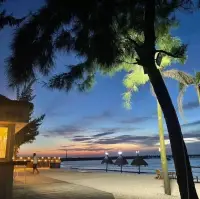 我们终将退回人海，成为彼此的陌生人。
但请答应我，当往事翻涌时，
只晒那些发烫的瞬间，把霉斑留给时间。                 配图