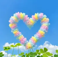 🍀粽夏之时，浅念安康◡̈ ²⁰²⁵/₀₅.₃₁ᵕ̈