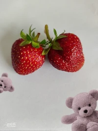 莓有烦恼