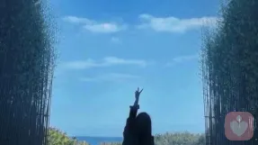 证书