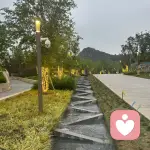 如愿的頭像