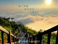 生活就像騎自行車 為了保持平衡 你必須持續前進???配圖