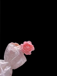 情绪稳定的能力 可控有序的生活节奏 持续积累的知识能量 足以保障自由的经济基础 还有那个始终没有放弃自己的你