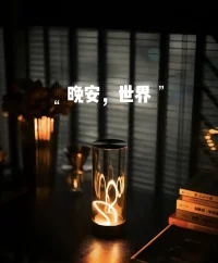 凌晨后的世界，格外安静，情绪太多，语言有限， 夜街夜景夜烛灯 ，且忘且停且随风……....