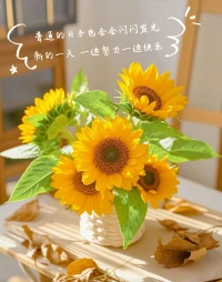 陽光??會照亮每一個抬頭的人；
生活??會善待每一個認真的人
世間所有美好，都恰逢其時。
愿好運相伴， 堅定自己的步伐，一起奔跑在理想的路上，低頭有堅定的腳步，抬頭有清晰的方向。配圖