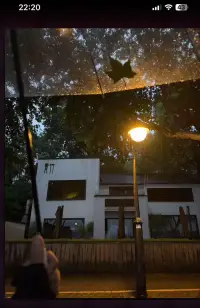 不要覺得自己很糟糕，心態好，一切都好[玫瑰][玫瑰]配圖