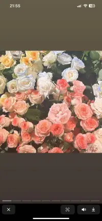 向上的生命力比皮囊更有殺傷力配圖