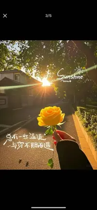 開啟元氣滿滿的一天！
保持微笑，充滿善意，
懂得感恩，好運定會來敲門。上午好??配圖