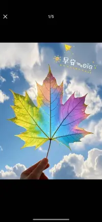 知足且堅定，溫柔且上進。上午好
?配圖