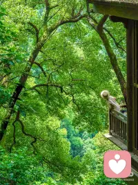 好久沒出現(xiàn)了，冒個泡配圖