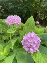 情緒是身體發(fā)給我們的一種信號，提示我們可能是內(nèi)在系統(tǒng)出現(xiàn)了問題，這時候就需要我們自己去覺察有什么地方出現(xiàn)了問題，然后積極去應對問題。配圖