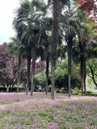 當(dāng)我們心情煩躁焦慮的時候，可以暫時讓自己先停下來，問問自己，我怎么了？
為什么發(fā)這么大脾氣？為什么這么煩躁？
我這么做有用嗎？如果沒有用不解決問題，只會讓事情變差。
那么我應(yīng)該怎么做才能解決問題呢？配圖