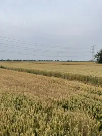 當(dāng)有人可以對(duì)你無限包容和接納的時(shí)候，你也可以是對(duì)自己寬容接納自己的所有，允許自己犯錯(cuò)，不會(huì)苛責(zé)自己。這是父母或者撫養(yǎng)者教會(huì)我們?nèi)绾螑圩约骸Ｅ鋱D